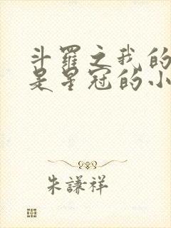 斗罗之我的武魂是星冠的小说