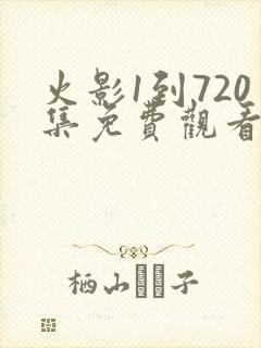 火影1到720集免费观看