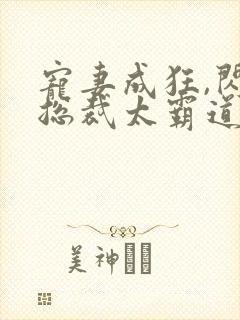 宠妻成狂,闪婚总裁太霸道