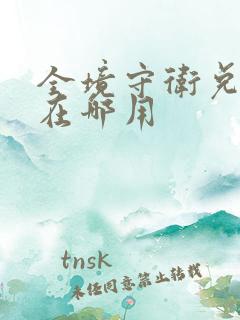 全境守卫兑换码在哪用