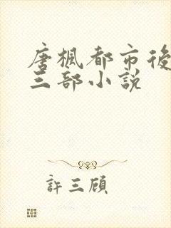 唐枫都市后宫第三部小说