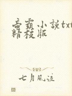 帝霸小说txt精校版