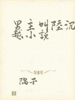 男主叫陆沉的穿越小说
