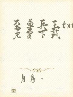 至尊兵王txt免费下载