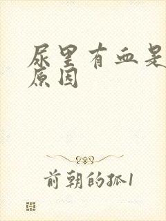 尿里有血是什么原因