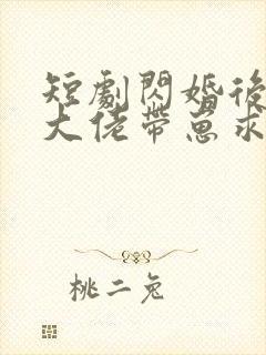 短剧闪婚后禁欲大佬带崽求名分