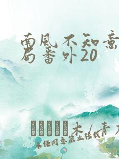 南风不知意大结局番外20