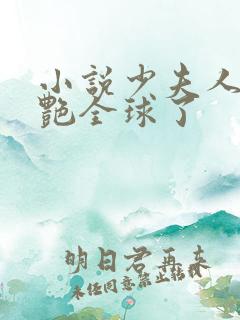 小说少夫人她惊艳全球了