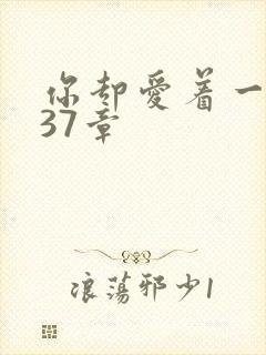 你却爱着一个他37章