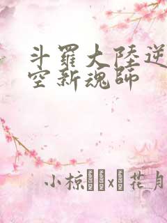 斗罗大陆逆转时空新魂师