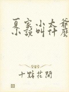 夏家小太爷原著小说叫什么名字