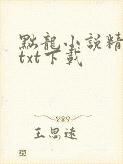 黜龙小说精校版txt下载