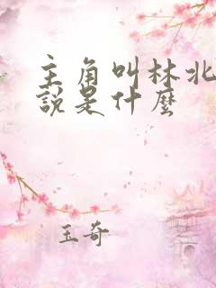 主角叫林北的小说是什么