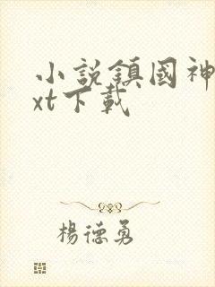 小说镇国神婿txt下载