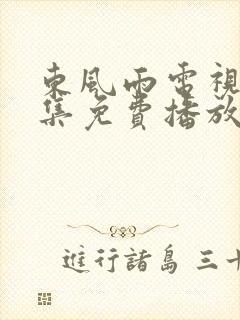 东风雨电视剧全集免费播放在线观看