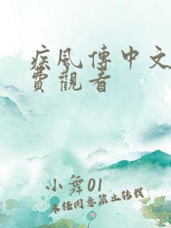 疾风传中文版免费观看