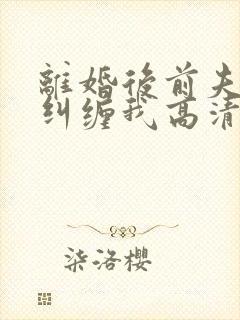 离婚后前夫总想纠缠我高清