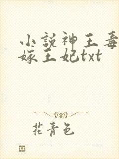 小说神王毒宠二嫁王妃txt