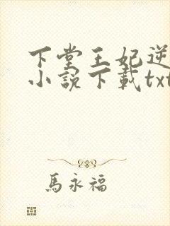 下堂王妃逆袭记小说下载txt