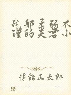 我那柔弱不能自理的夫君小说