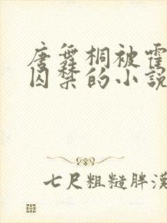 唐舞桐被霍雨浩囚禁的小说