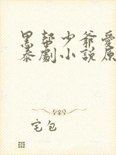 黑帮少爷爱上我泰剧小说原著