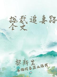 总裁追妻路漫漫全文