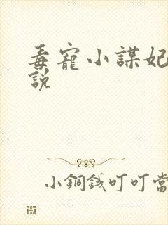 毒宠小谋妃 小说