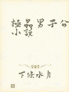 极品男子公寓的小说