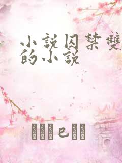 小说囚禁双男主的小说