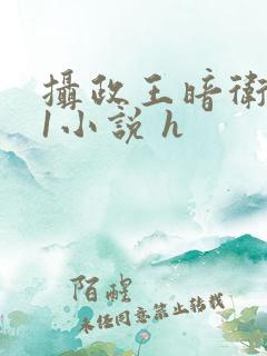 摄政王暗卫1v1小说 h