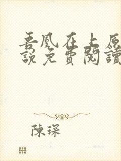 吾凰在上原著小说免费阅读