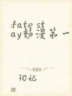 fate stay动漫第一季免费观看