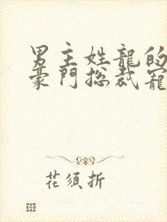 男主姓龙的小说豪门总裁宠文