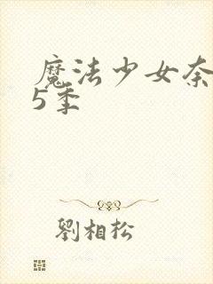 魔法少女奈叶第5季