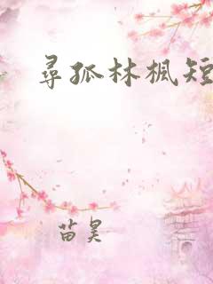寻孤林枫短剧