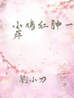 小鸡红肿一碰就疼