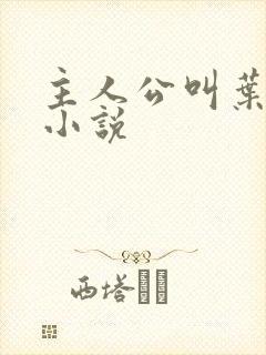 主人公叫叶观的小说