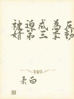 被迫成为反派赘婿第三季动漫全集