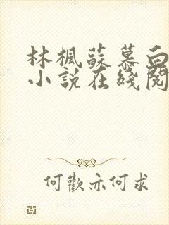 林枫苏慕白穿越小说在线阅读