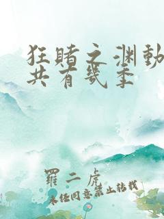 狂赌之渊动漫一共有几季