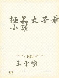 极品太子爷唐生小说