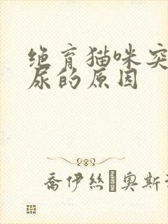 绝育猫咪突然乱尿的原因