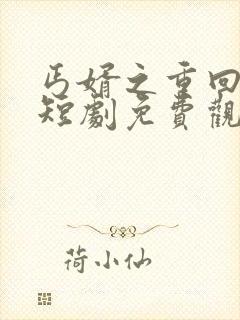 丐婿之重回巅峰短剧免费观看