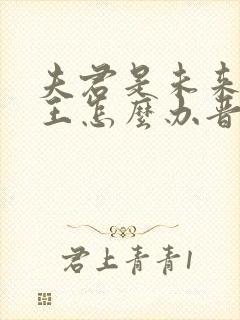 夫君是未来大魔王怎么办晋江