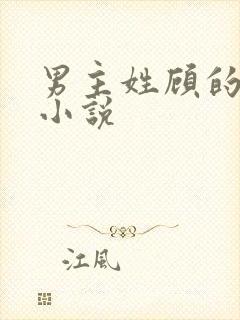 男主姓顾的言情小说