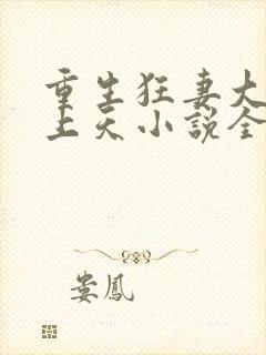 重生狂妻大佬宠上天小说全文阅读