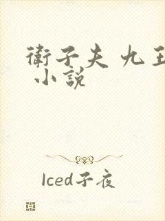 卫子夫 九王爷 小说