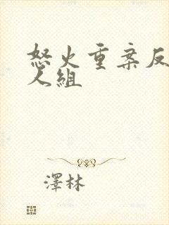 怒火重案反派五人组