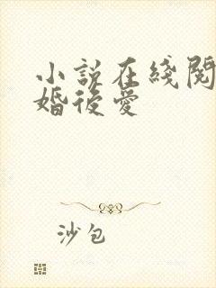 小说在线阅读先婚后爱